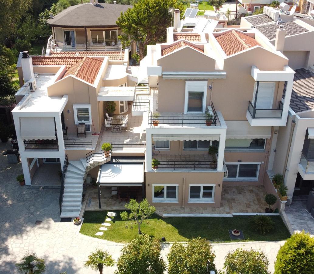 Nea Iraklitsa Dioni Luxury Houseヴィラ エクステリア 写真